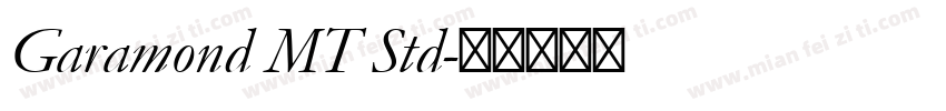 Garamond MT Std字体转换